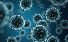 생물학: 바이러스의 종류와 분류