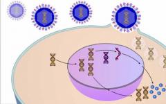 Цикъл на възпроизвеждане на вируса